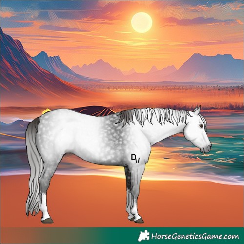 Horse Color:Gray White Spotted Liver Chestnut 