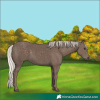 Horse Color:Silver Black 
