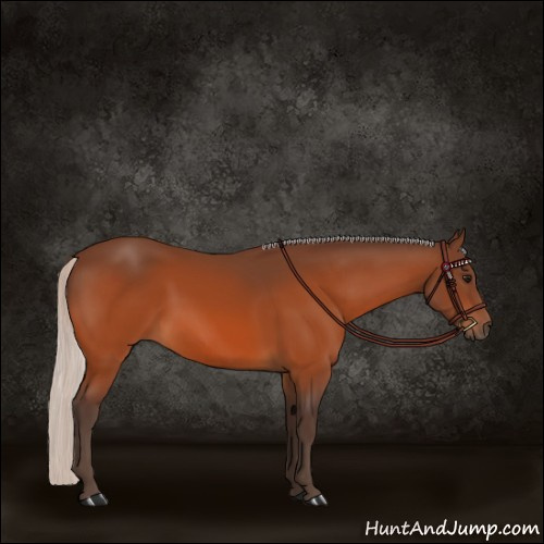 Horse Color:Silver Bay
