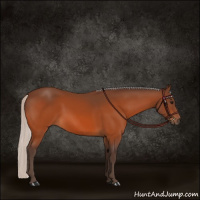 Horse Color:Silver Bay 
