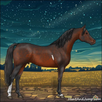 Horse Color:Brown Sabino Tobiano