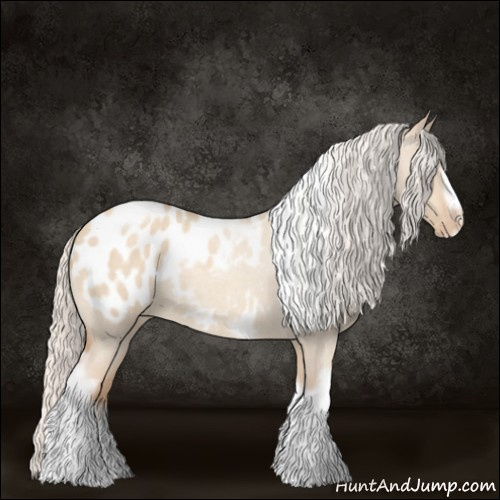 Horse Color:Silver Classic Champagne Roan Dun Splash Tobiano Frame Appaloosa Rabicano 