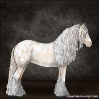 Horse Color:Silver Classic Champagne Roan Dun Splash Tobiano Frame Appaloosa Rabicano 