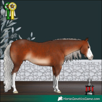 Horse Color:White Spotted Silver Bay 
