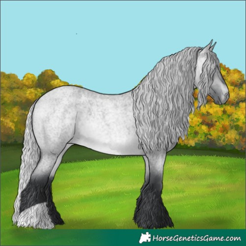 Horse Color:Silver Bay Chinchilla Roan 