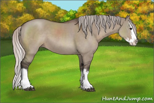 Horse Color:Silver Grullo Sabino Splash 