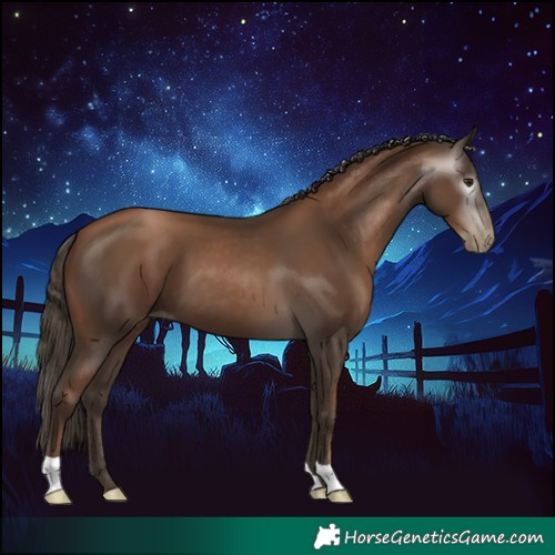 Horse Color:Gray Black Pearl 