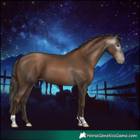 Horse Color:Gray Black Pearl 