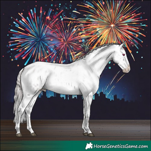 Horse Color:Chocolate Brown Chinchilla Roan Dun Sabino Appaloosa 