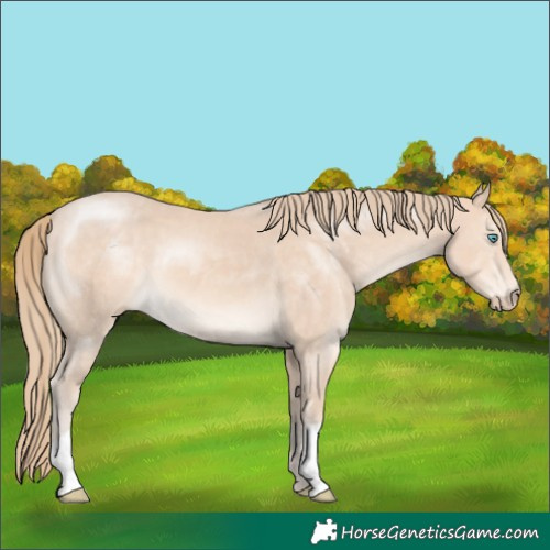 Horse Color:Perlino 