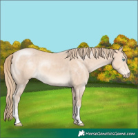 Horse Color:Perlino 
