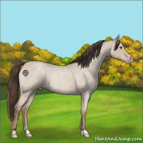 Horse Color:Classic Champagne Roan Dun 
