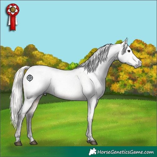 Horse Color:Gray Silver Bay Roan Dun Appaloosa 