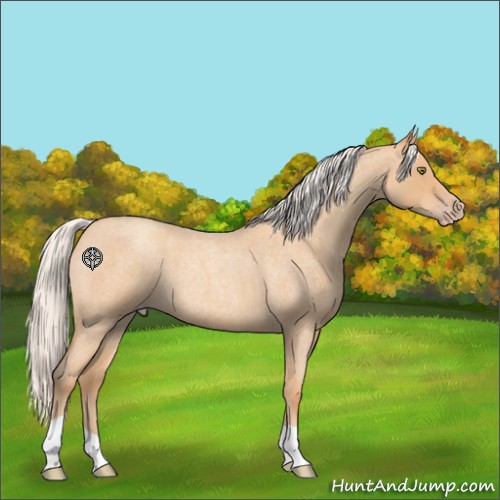 Horse Color:Silver Amber Champagne Roan 