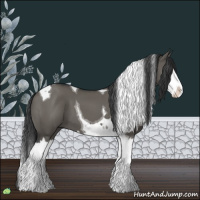 Horse Color:Grullo Splash Tobiano 