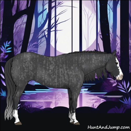 Horse Color:Blue Roan Sabino Splash  and Blue Roan Sabino Splash 
