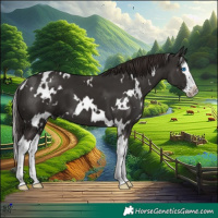 Horse Color:White Spotted Liver Chestnut Splash 