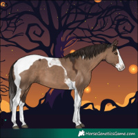 Horse Color:Liver Red Dun Splash Tobiano 