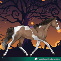 Horse Color:Liver Red Dun Splash Tobiano 