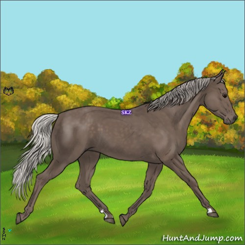 Horse Color:Silver Black 