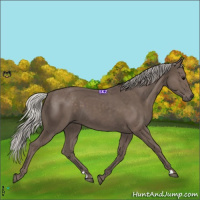 Horse Color:Silver Black 