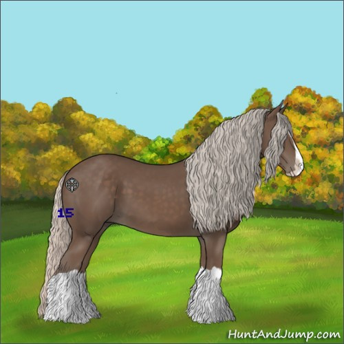 Horse Color:Silver Black Splash