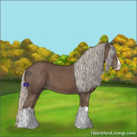 Horse Color:Silver Black Splash 