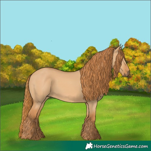 Horse Color:Red Dun 