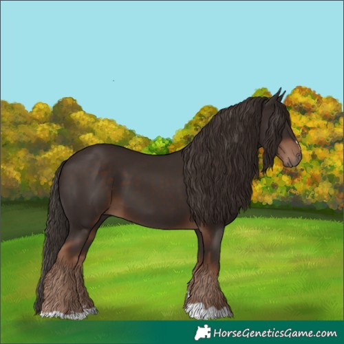 Horse Color:Liver Chestnut