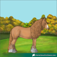 Horse Color:Chestnut 