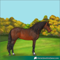 Horse Color:Brown 