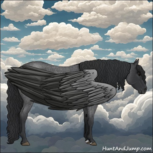 Horse Color:Blue Roan 