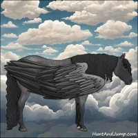 Horse Color:Blue Roan