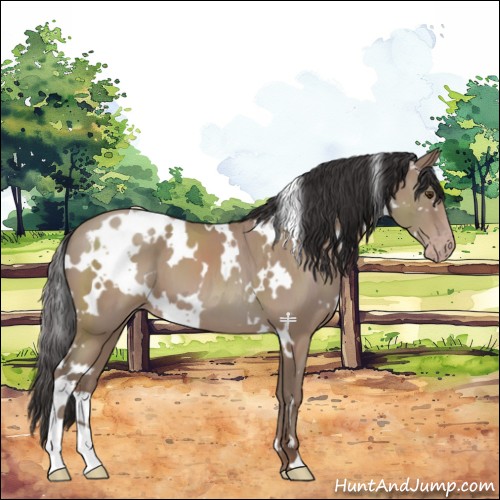 Horse Color:White Spotted Classic Champagne 