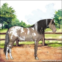 Horse Color:White Spotted Classic Champagne 