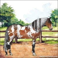 Horse Color:White Spotted Brown 