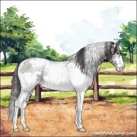 Horse Color:White Spotted Smoky Black Rabicano