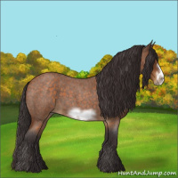 Horse Color:Buckskin Roan Sabino Frame 