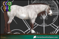 Horse Color:Chocolate Buckskin Roan Sabino Frame