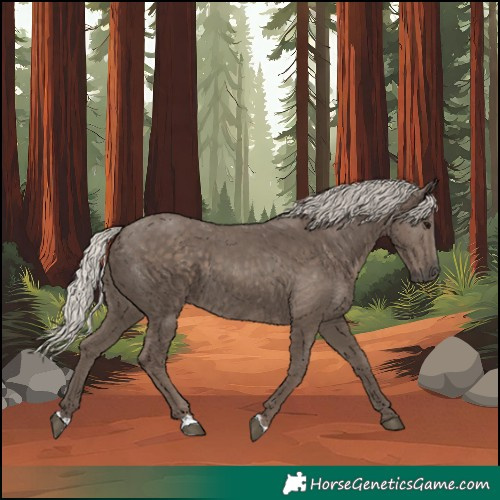 Horse Color:Silver Black