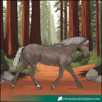 Horse Color:Silver Black 