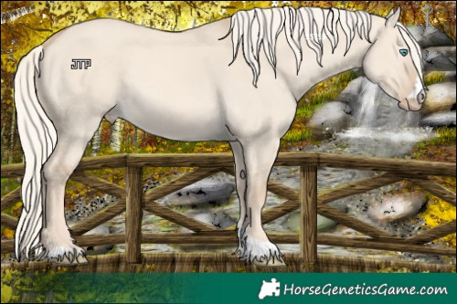 Horse Color:Cremello Dun 