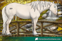 Horse Color:Cremello Dun 