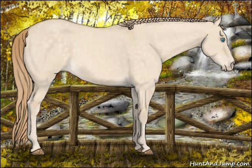 Horse Color:Perlino Dun