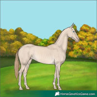 Horse Color:Perlino Dun 