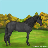 Horse Color:Blue Roan 