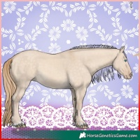 Horse Color:Perlino Dun 