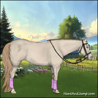 Horse Color:Smoky Creme Dun 