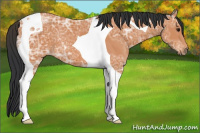 Horse Color:Bay Ice Tobiano 