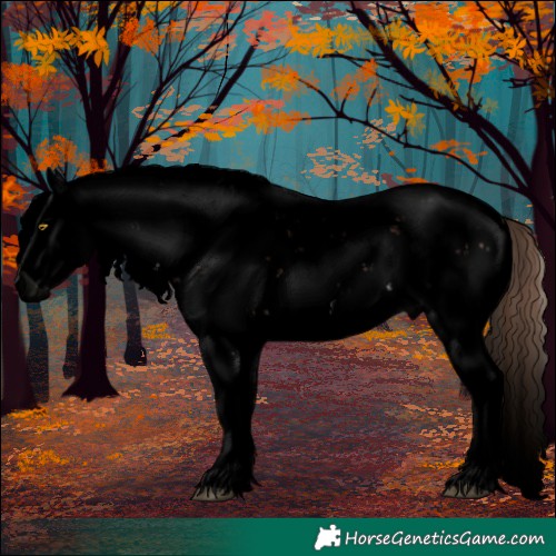 Horse Color:Void Liver Chestnut Sabino Splash